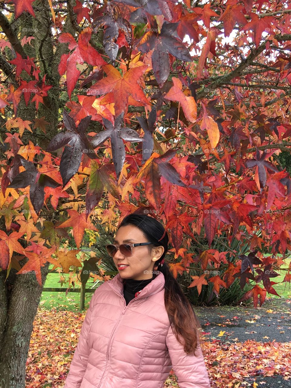 In front of red leaves