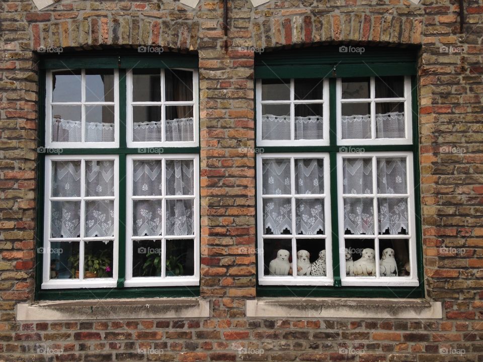 Window in Brugge 