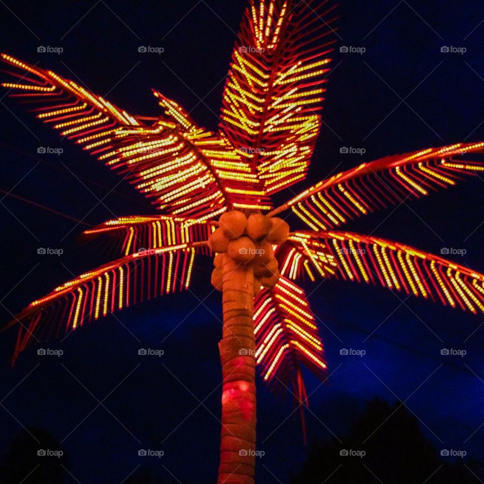 Glowing Palm Tree