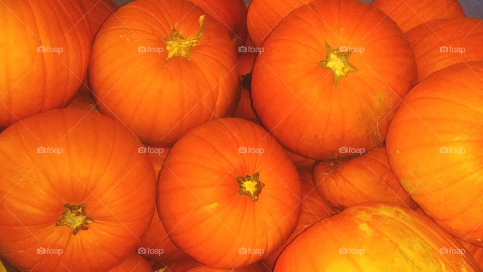 pumpkins