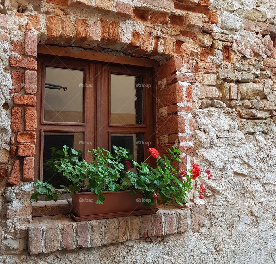 Little window on antique brick wall facade with potted plants