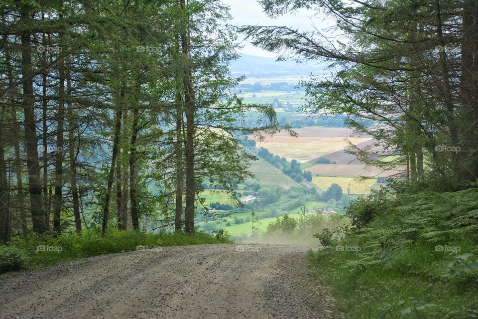 Rural road in Western Washington