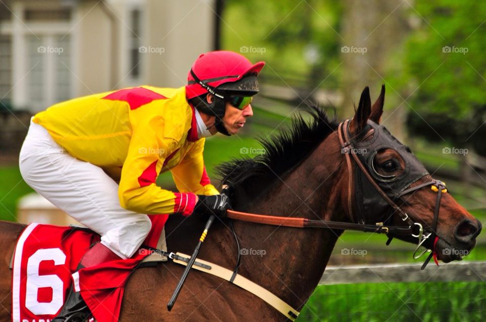 Jockey and horse as one