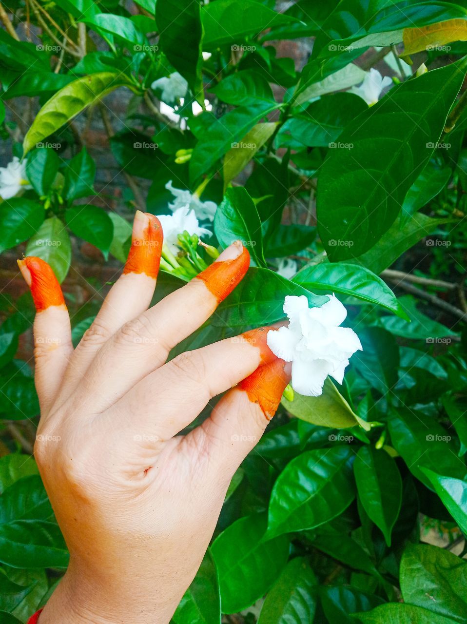 A women's way of love expression is still a puzzle.