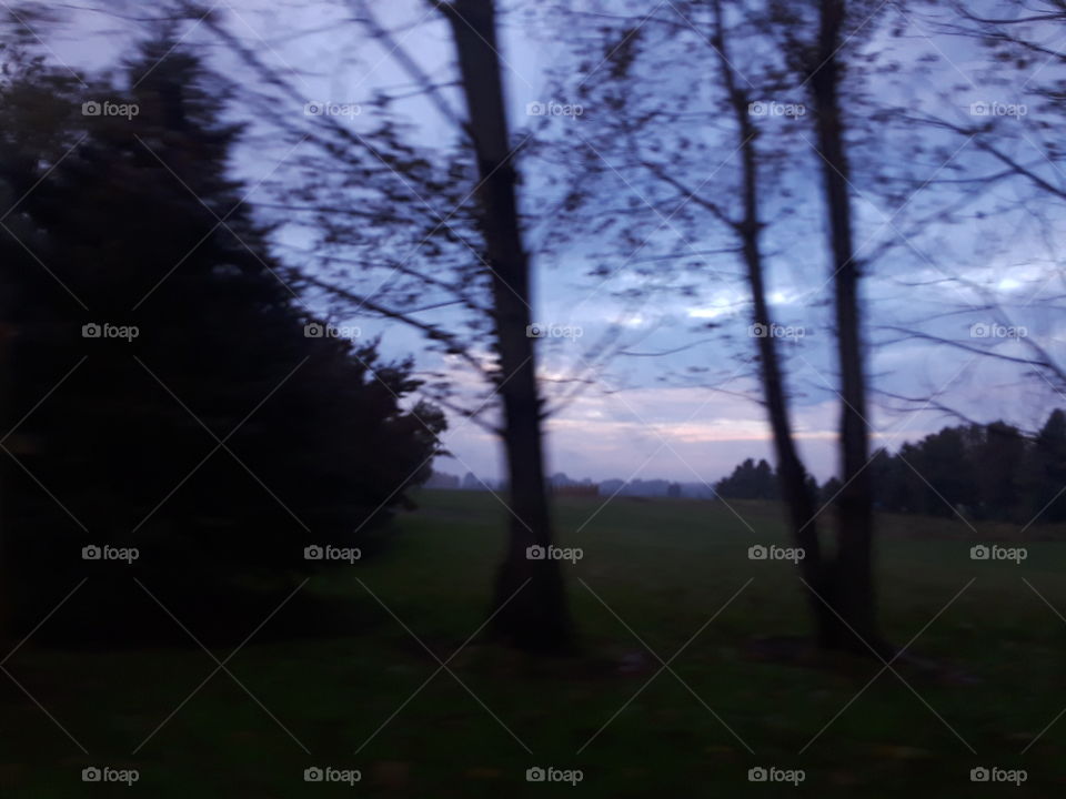 red sky through autumn trees