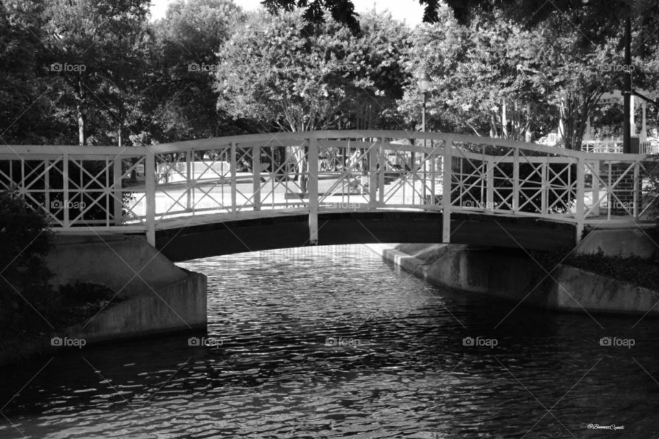 Bridge over peaceful waters. Day at the park