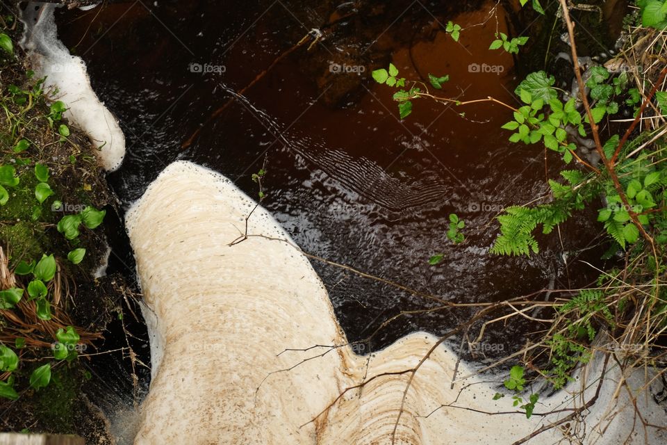 Bubbles gather to form naturally occurring foam on water