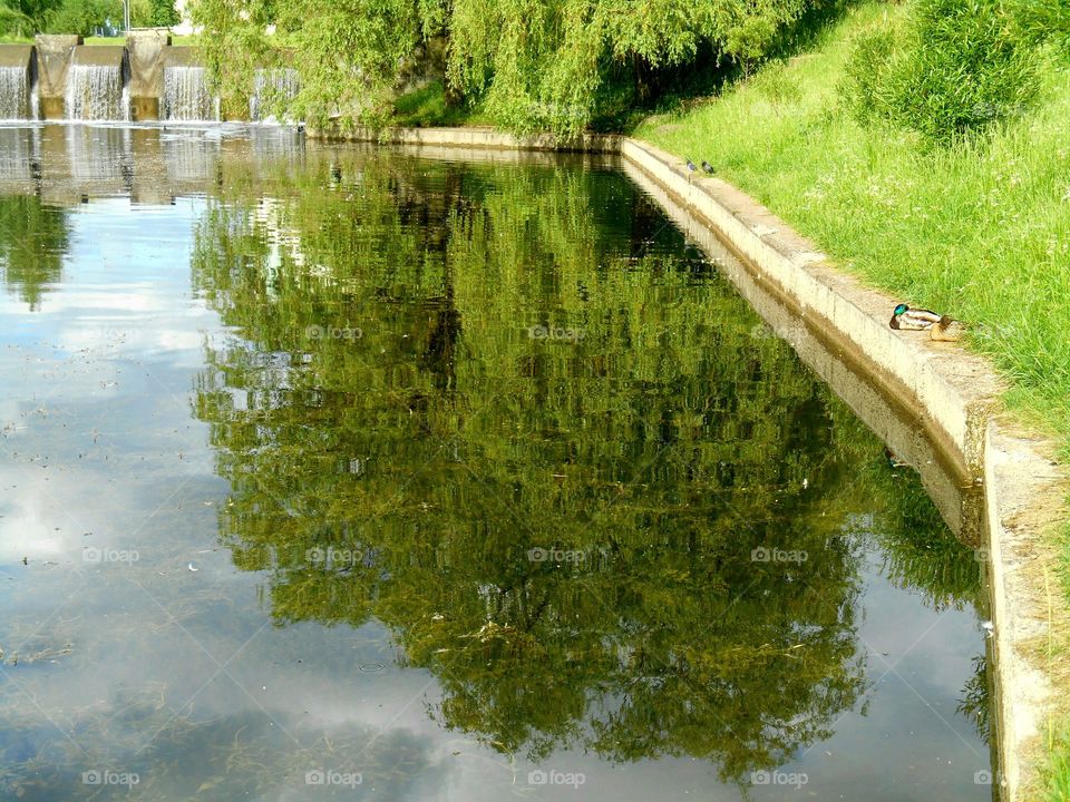 Water, River, Nature, Bridge, Reflection