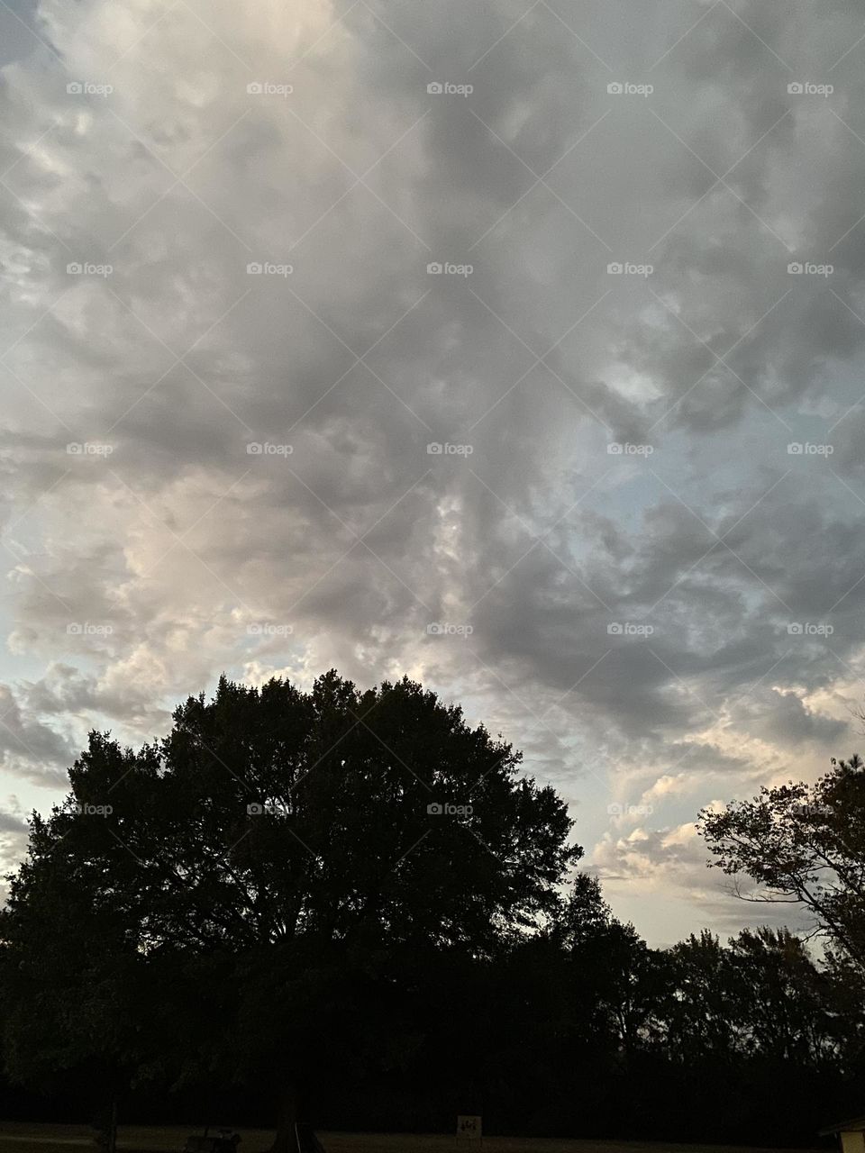 Night begins to fall in the country 