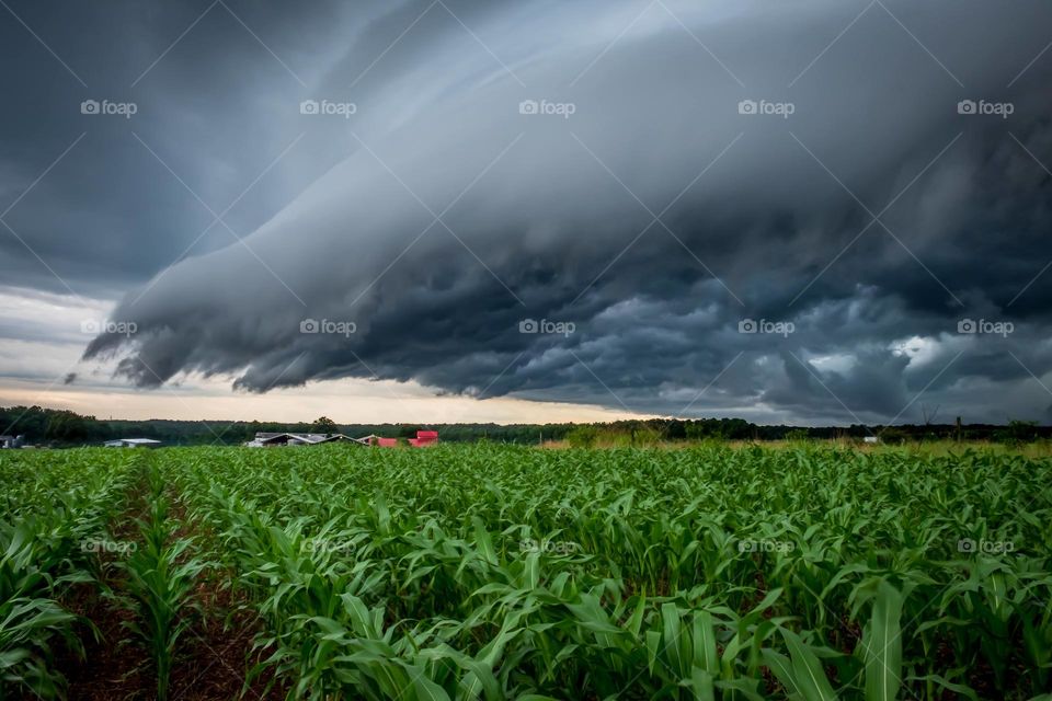 A shelf clouds reaches its fingers over the farm. Raleigh, North Carolina. 
