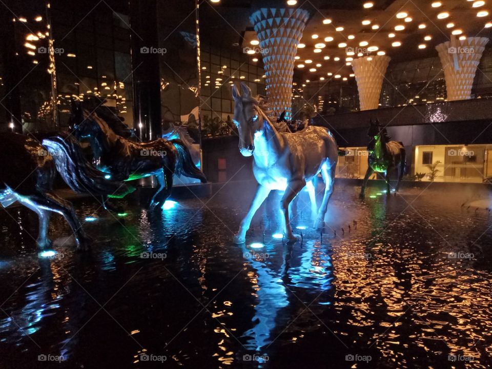 group of horses running in water