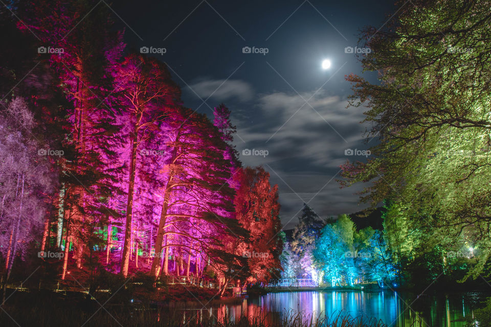 Oir An Uisge - Edge of the Water - The Enchanted Forest