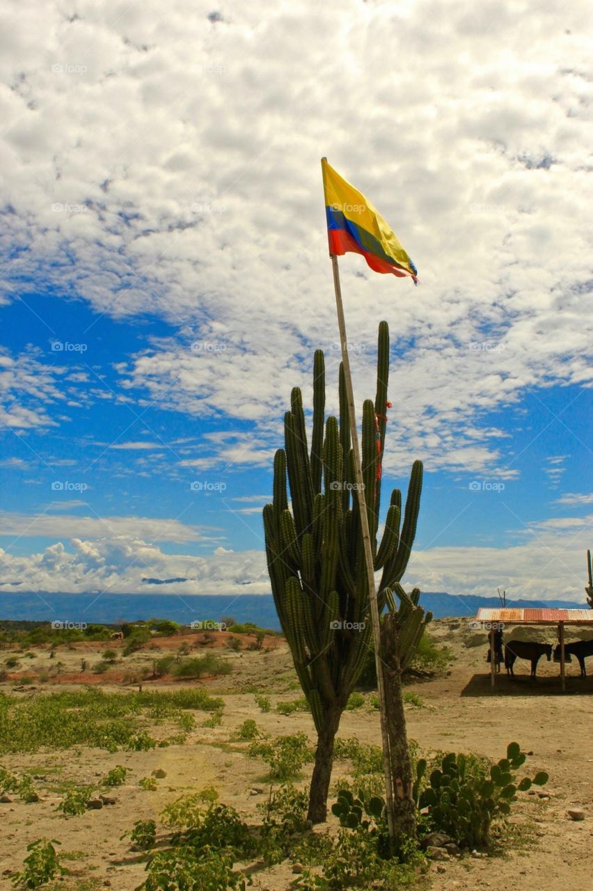 Colombian flag in the desert