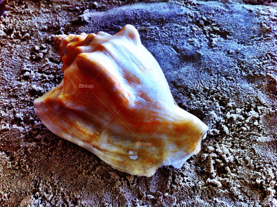 beach ocean sand port by carinafox5