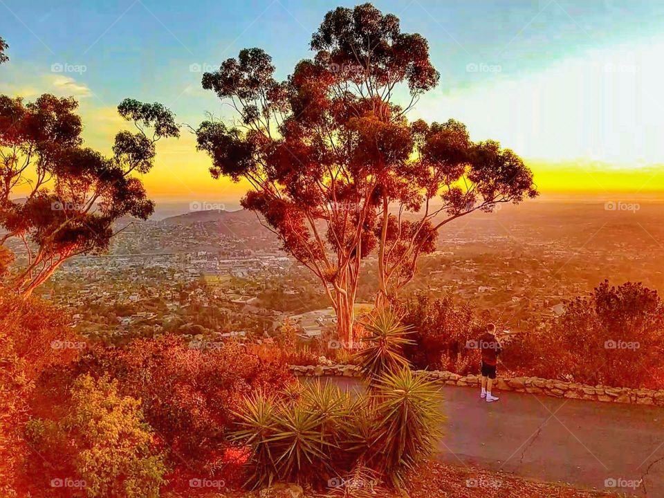 ILLUMINATION of Lights