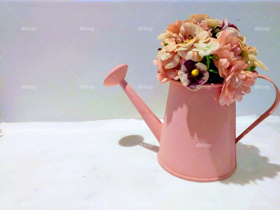 pink flower pot