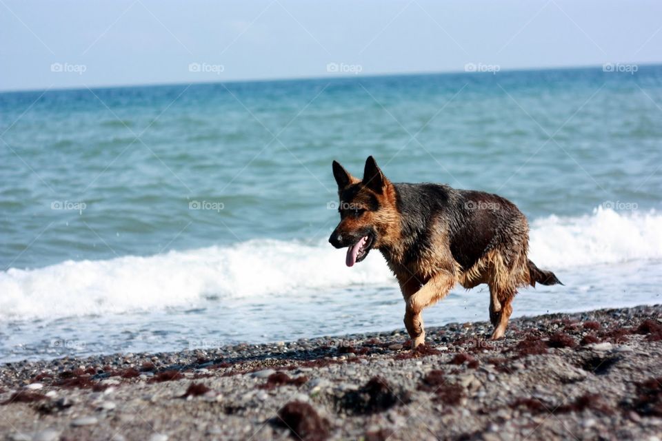 Water, Sea, Beach, Outdoors, No Person