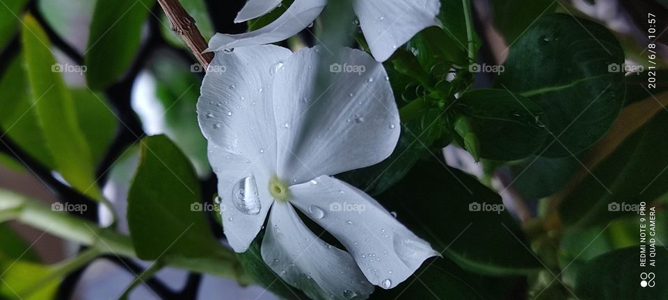 see the drop🧐☺️