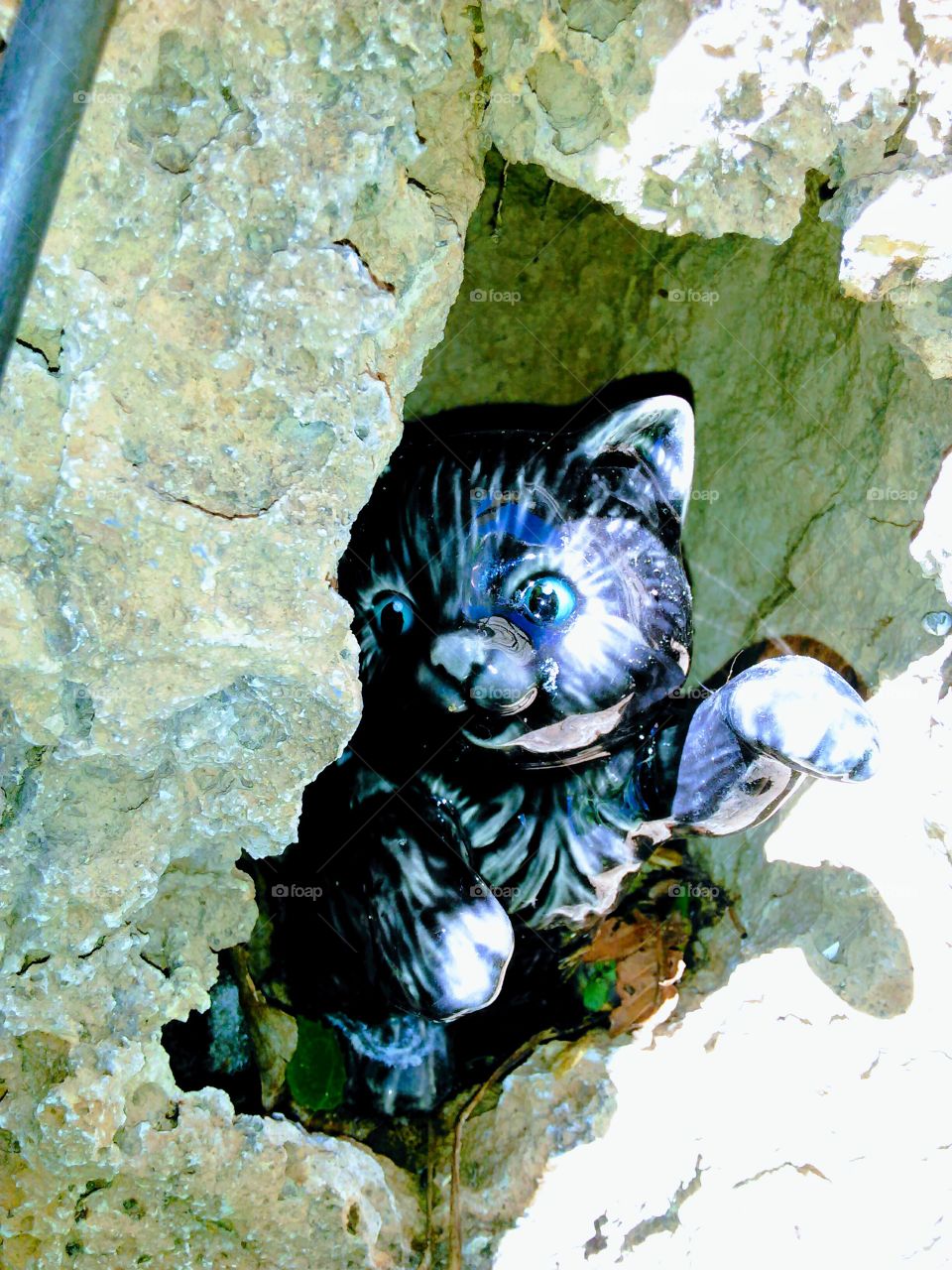 Porcelain cat in a rock cave!