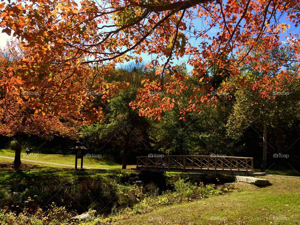 Kent Falls State Park, CT