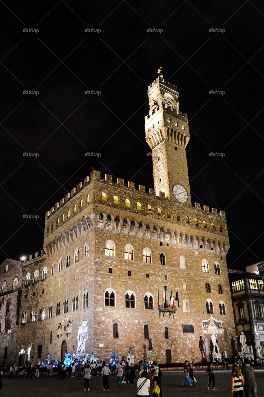 Palacio Vecchio. Palacio Vecchio (Florence - Italy)