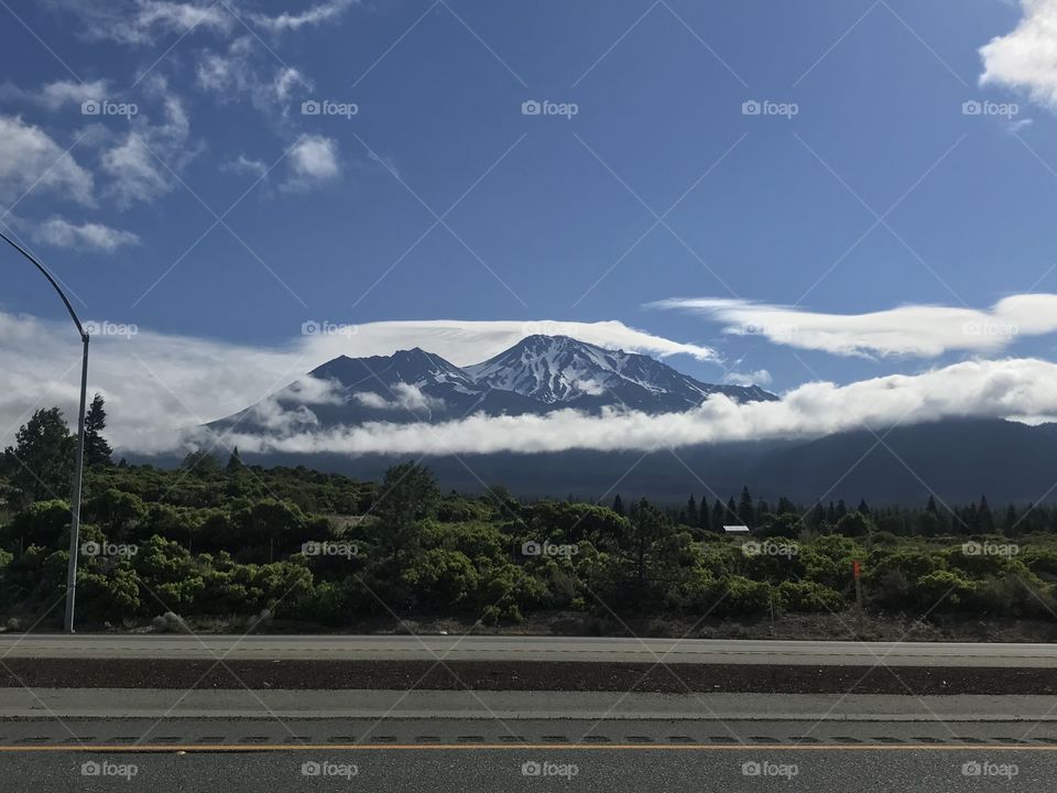 Mt. Shasta 