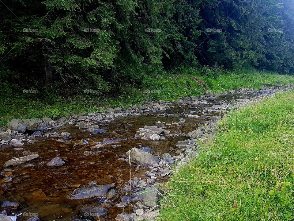 shovel at the mountain river