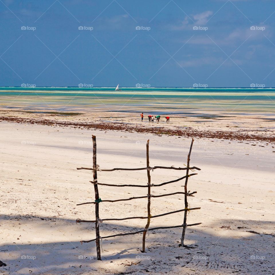 Fence on the beach 