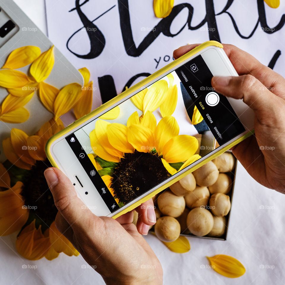 Blogger talking flat lay photo with sunflower 