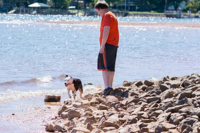 puppy with owner