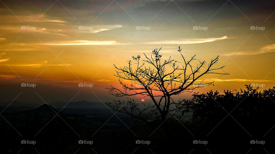 beautyfull sunset behid the tree beautyfull colourfull sky view
