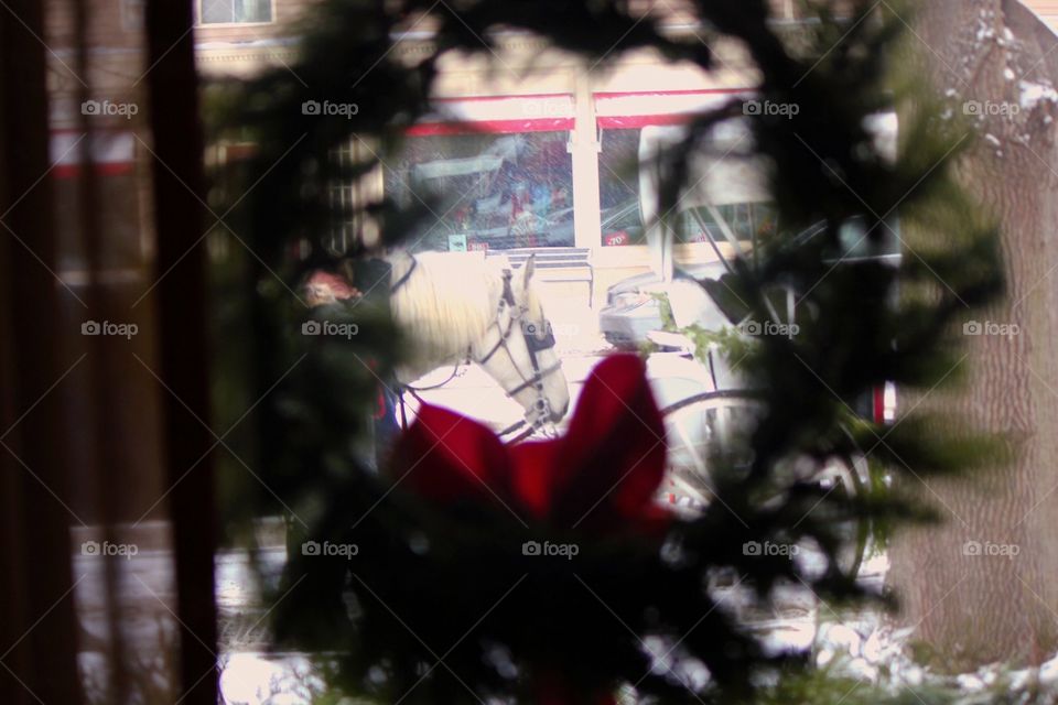 Looking through the window