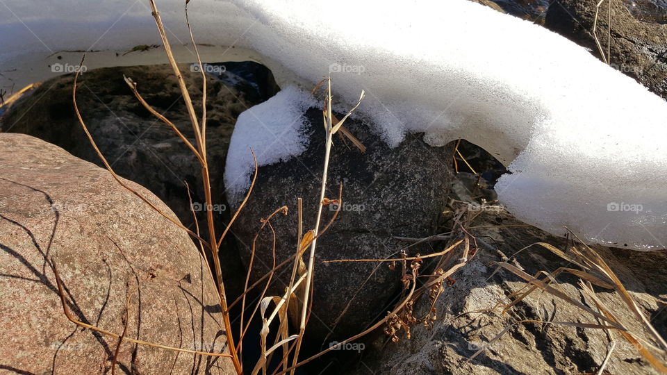winter grass and snow