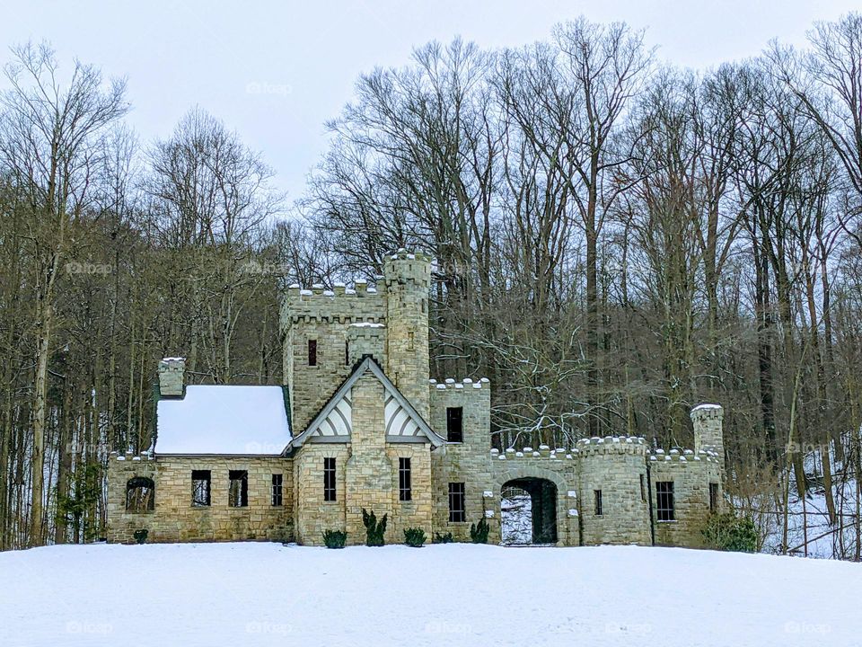 A castle in the woods