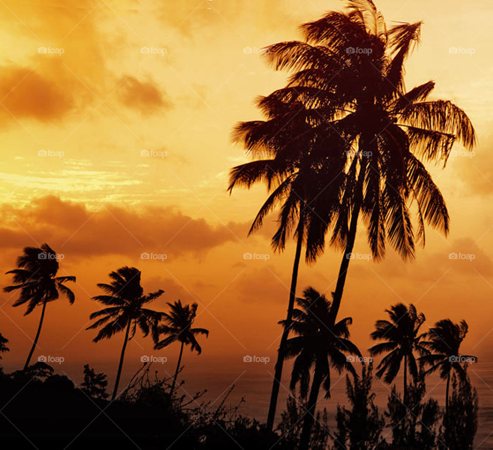 Travel around the world