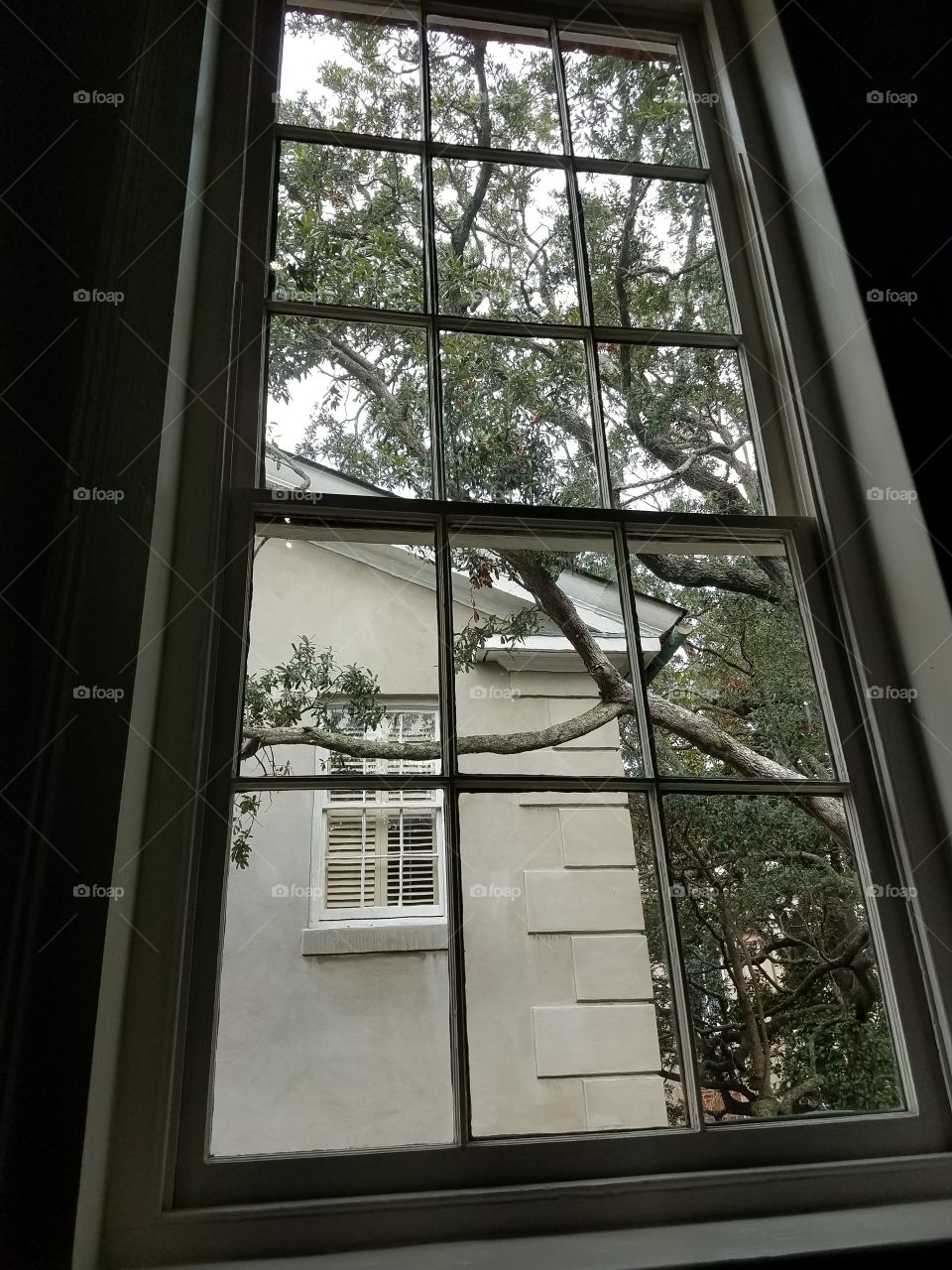 window