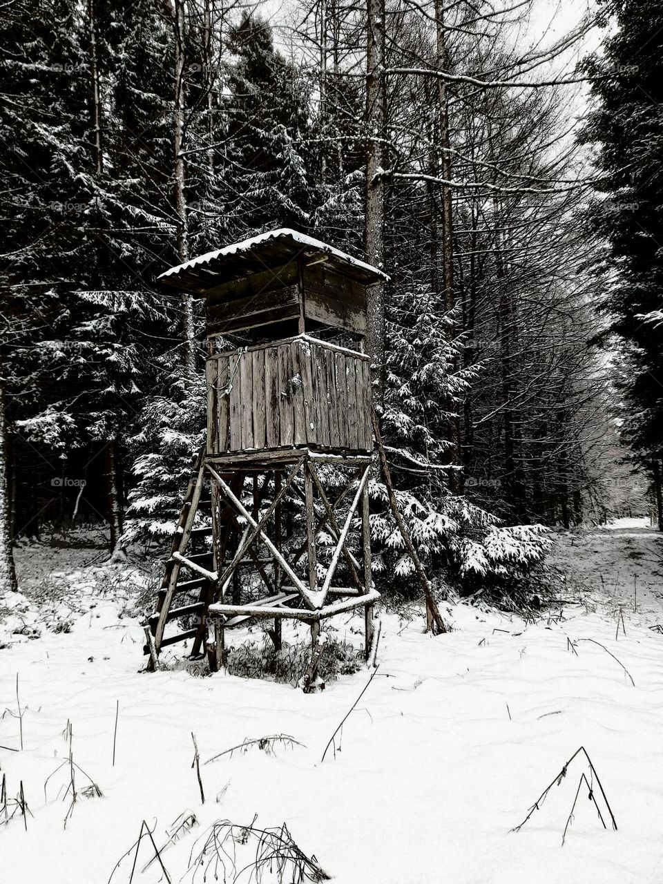 Wooden Tower in Snowy Forest