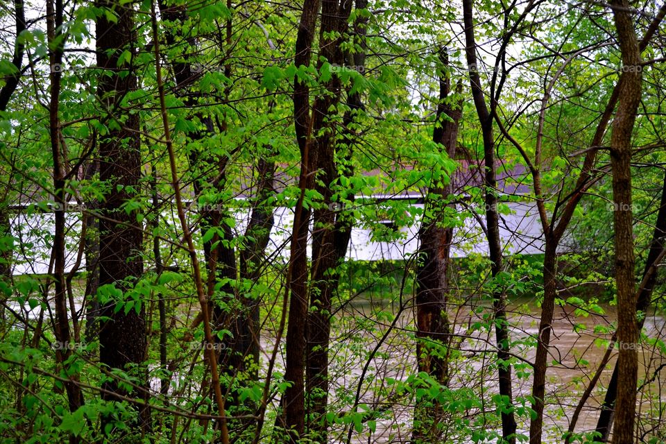 Rainy day by the covered bridge in Indiana 
