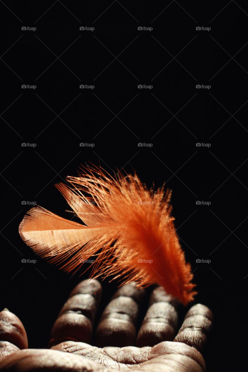 feather