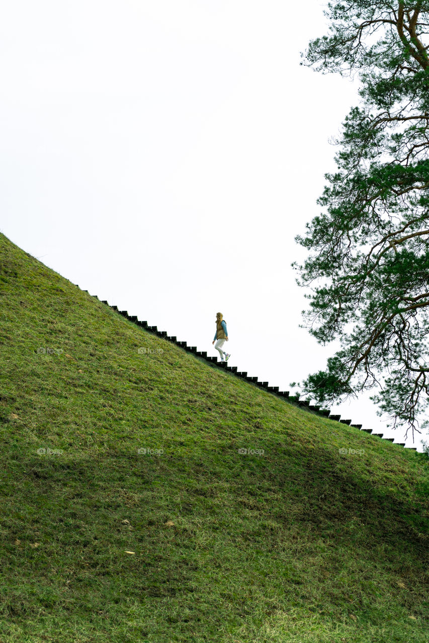 Alone in a perfect balance of green earth and white cloudy sky.