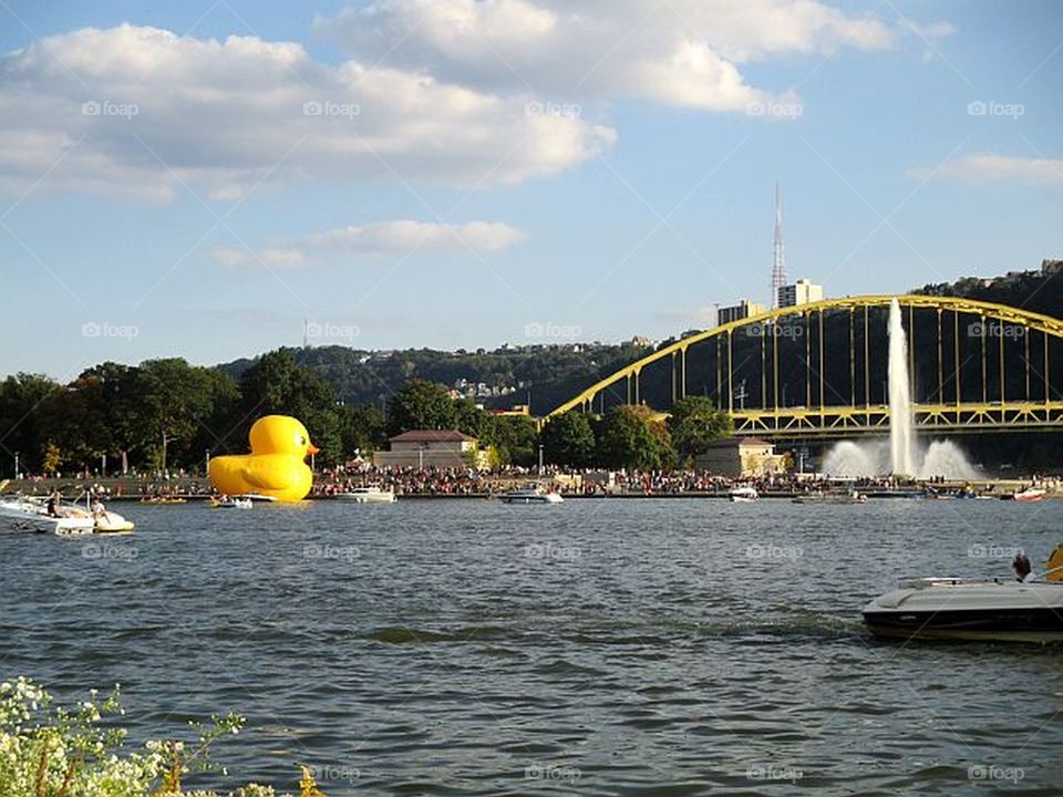 rubber ducky in Pittsburgh
