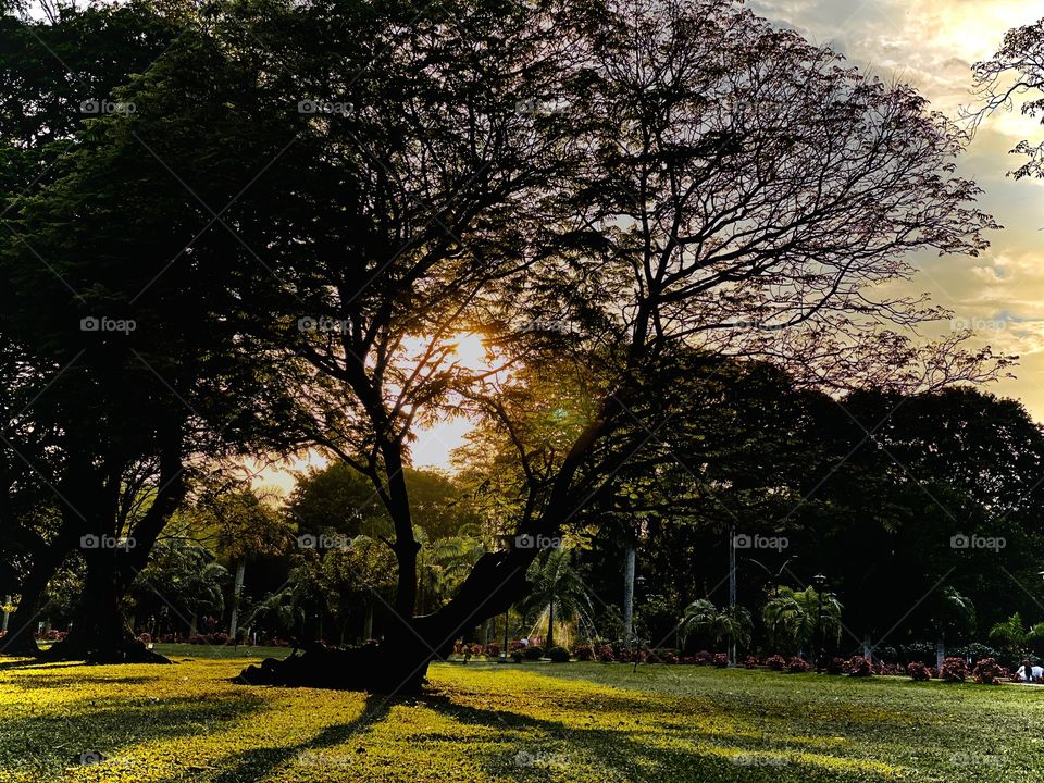 Natural dark lighting 