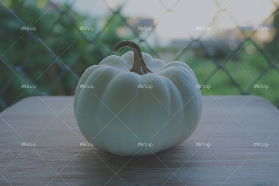 White pumpkin isolated on blurred background with bokeh 