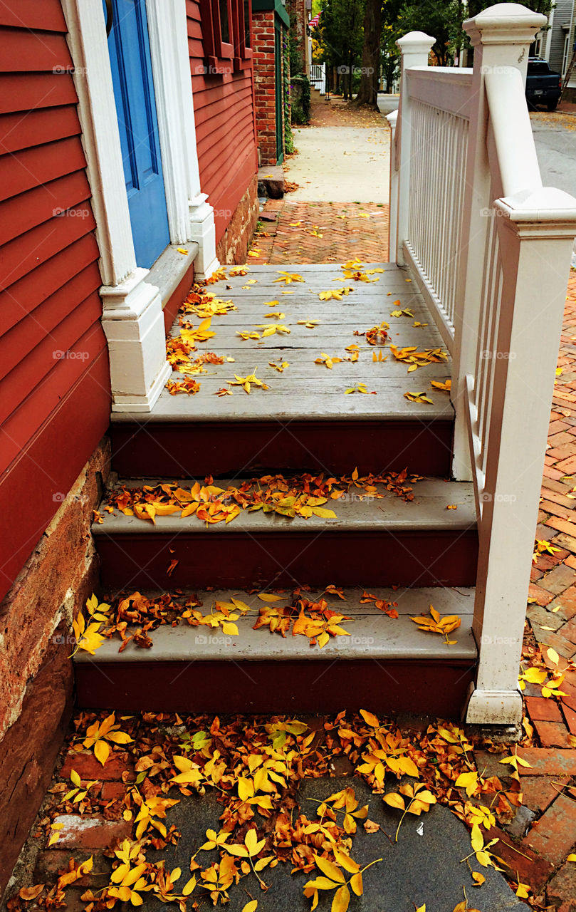 First days of fall with leaves on the stairs
