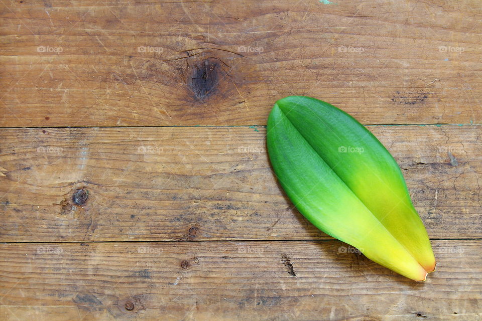 green leaf