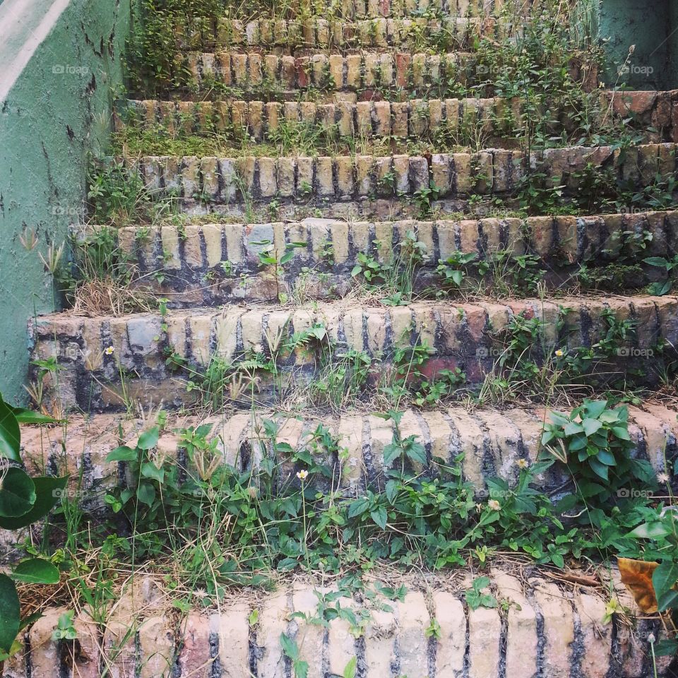 Green steps. Walking around town on my break 