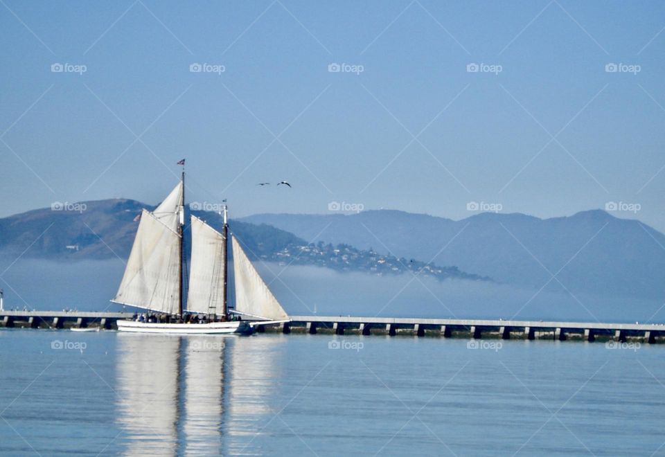 Sail boat going out to sea