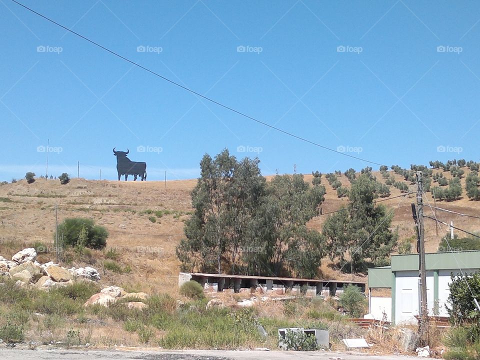 Toro, Spain