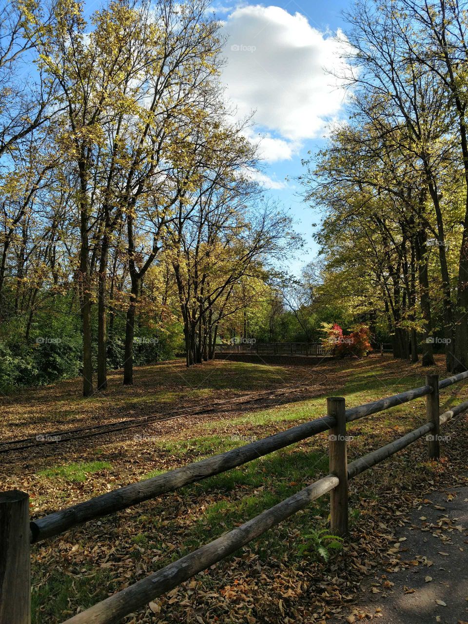Autumn Park 2