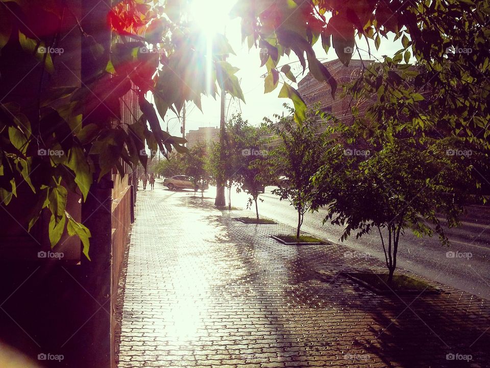 Дождик и солнце 😁